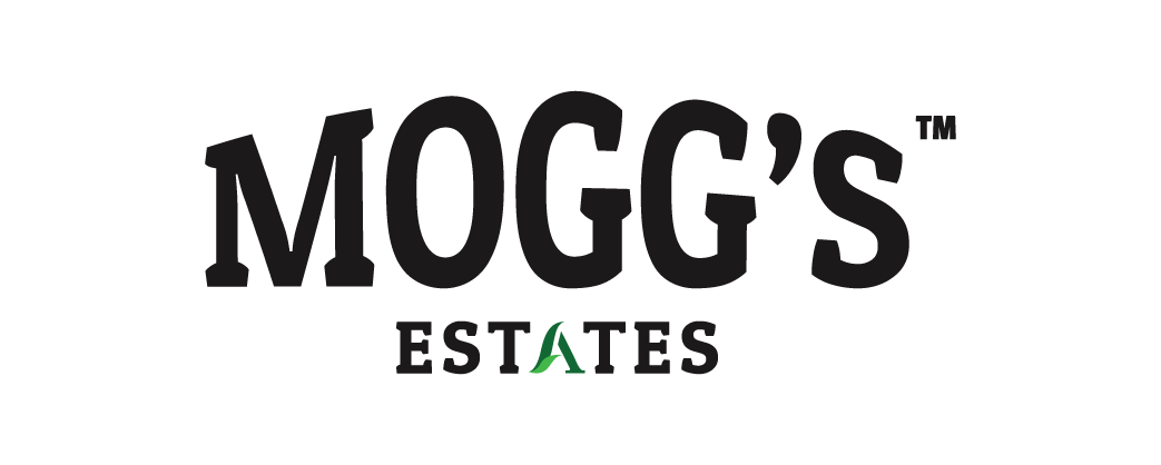 Client 163